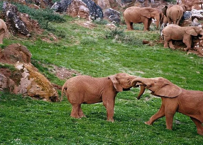 Apartment Marias Vacation *